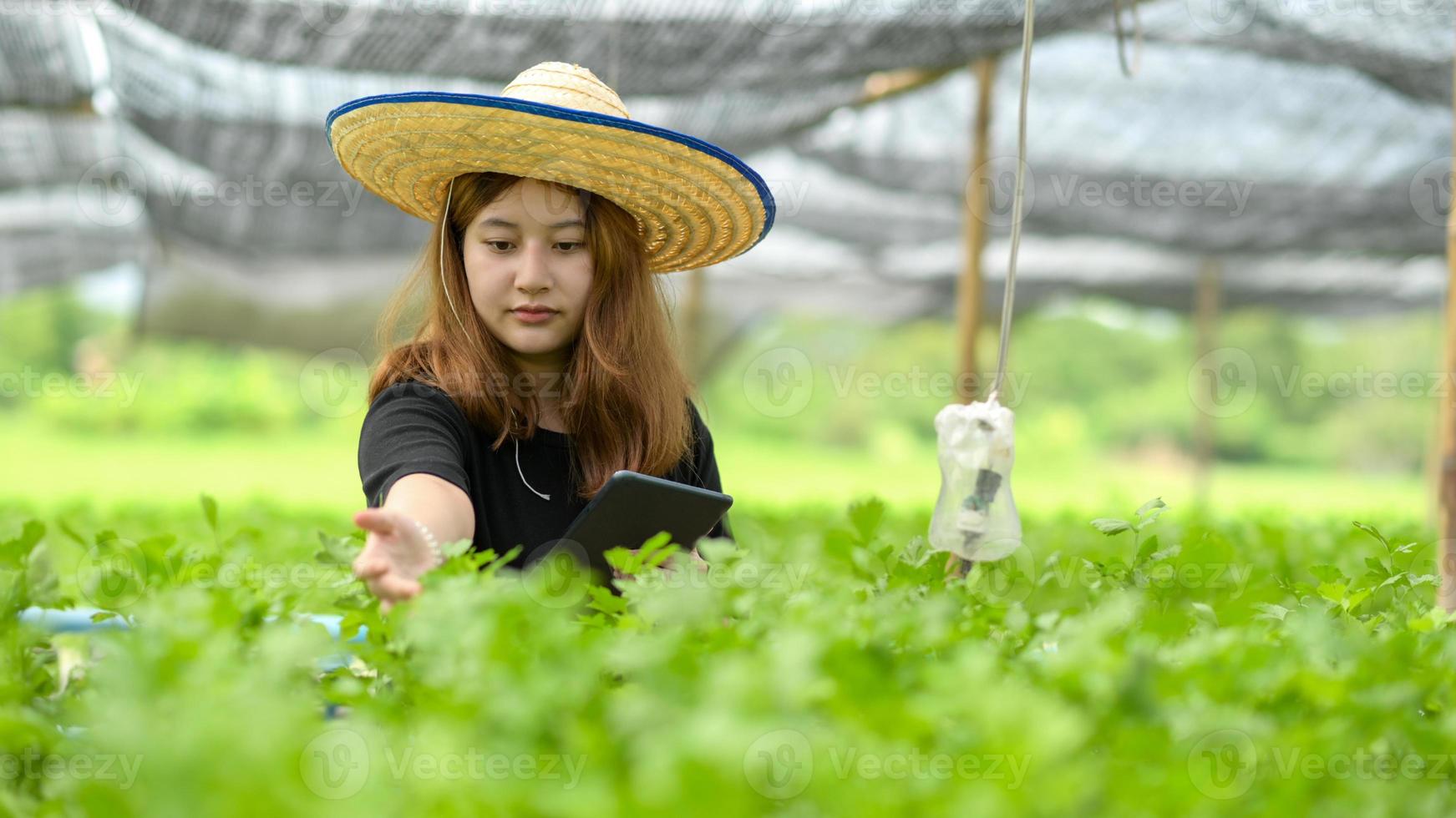chica asiática con tableta en mano inspeccionando parcela de hortalizas orgánicas en invernadero, agricultura inteligente. foto