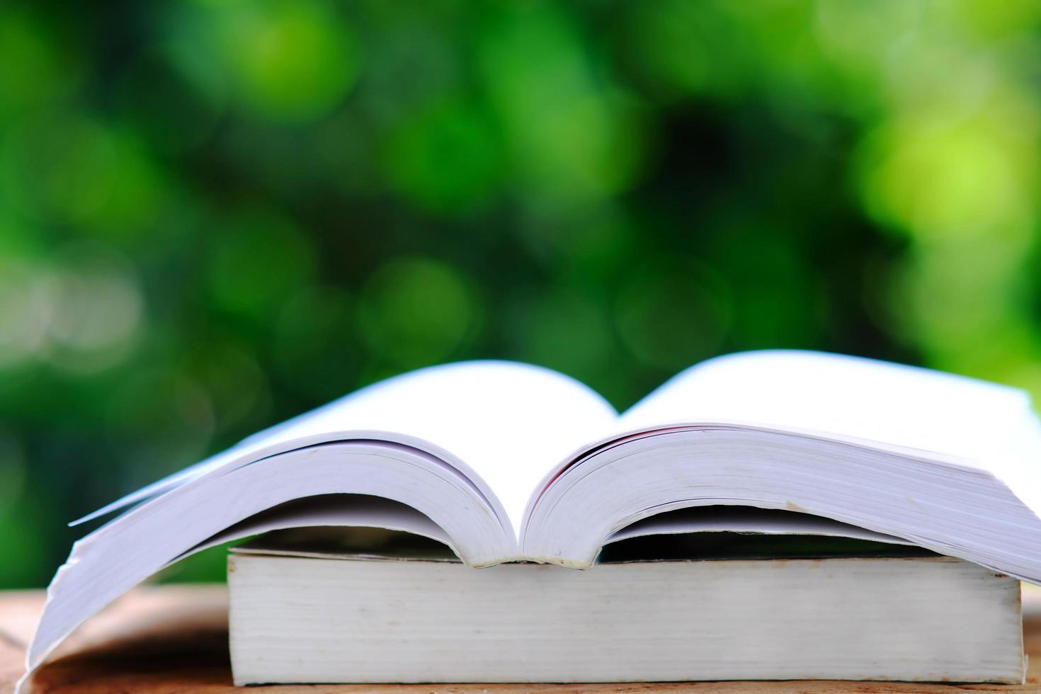 La educación y el concepto de regreso a la escuela libro abierto sobre fondo verde foto