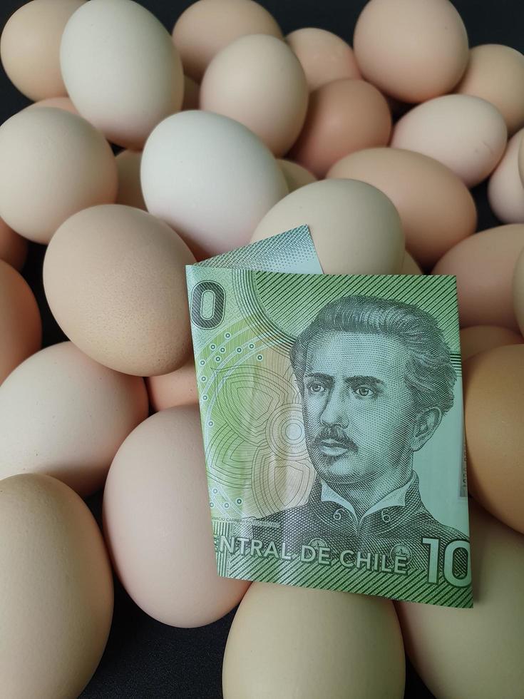 Investment in organic egg with Chilean money for healthy food photo