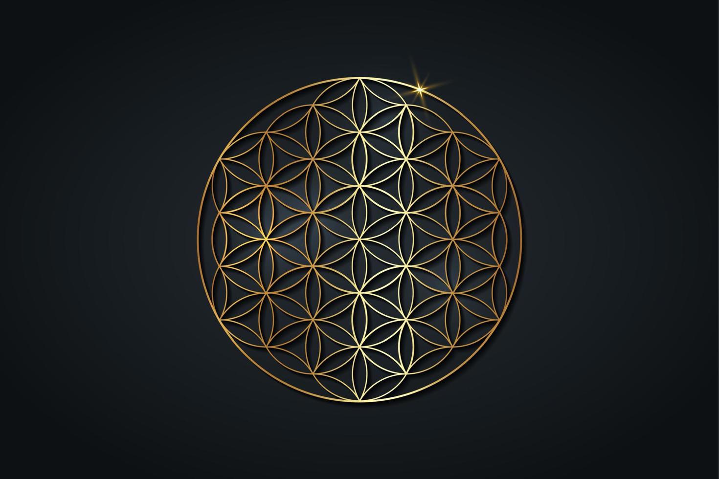 flor de la vida, mandala espiritual dorado, geometría sagrada. símbolo dorado brillante de armonía y equilibrio. talismán místico, vector redondo de lujo aislado sobre fondo negro