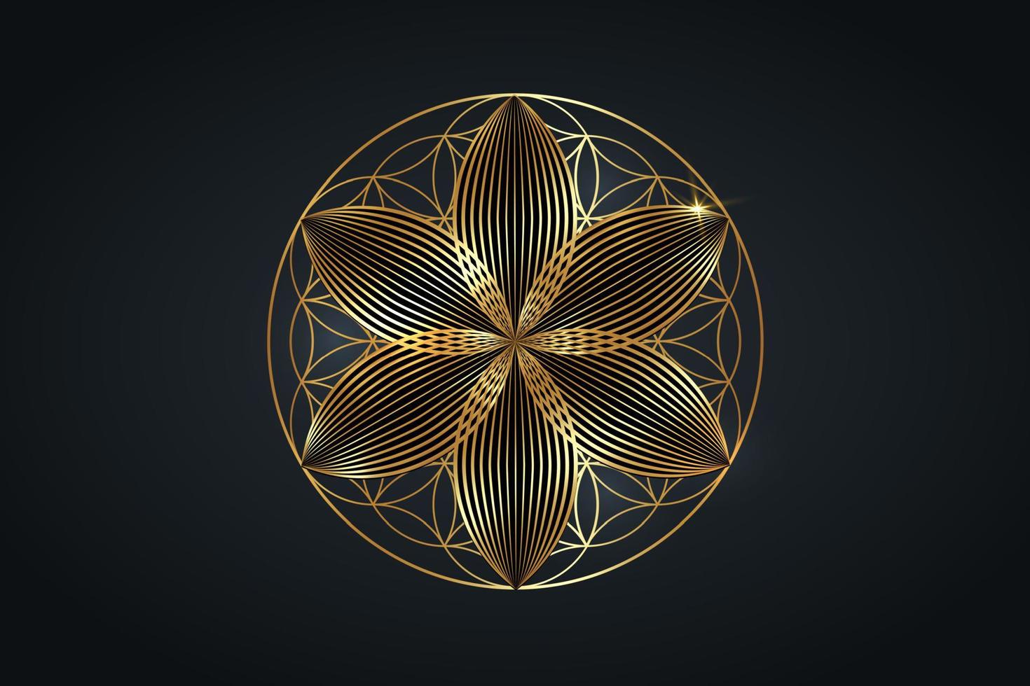 flor de la vida, mandala espiritual dorado, geometría sagrada. símbolo dorado brillante de armonía y equilibrio. talismán místico, vector redondo de lujo aislado sobre fondo negro