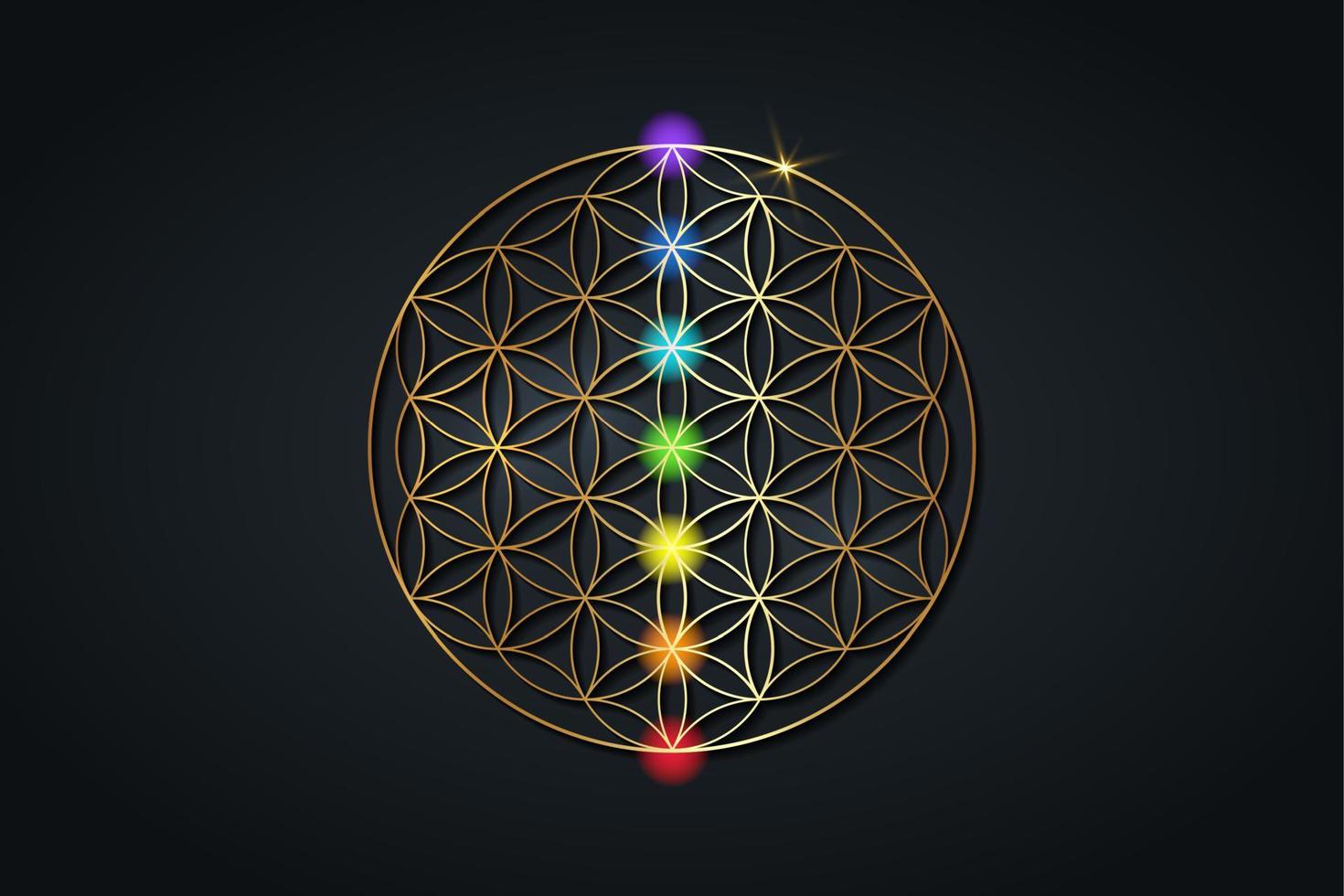 flower of life and the seven chakras. Gold Sacred Geometry, set chakra points meditation. Colored chakra lights. Yoga, zen, Buddhism, recovery, wellbeing concept. Vector isolated on black background