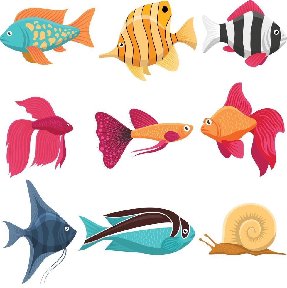 diseño de vector de juego de emparejamiento de peces vector gratis