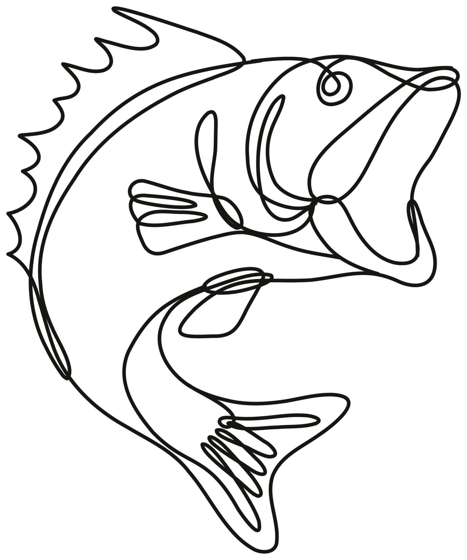 Largemouth Bass Jumping Up Continuous Line Drawing 3507116 Vector Art