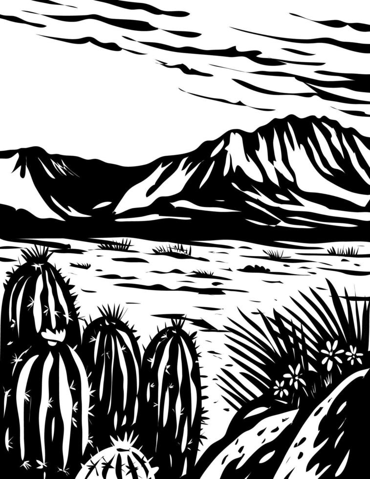 Chihuahuan Desert in Big Bend National Park West Texas USA Mexico Border WPA Woodcut Black and White Art vector