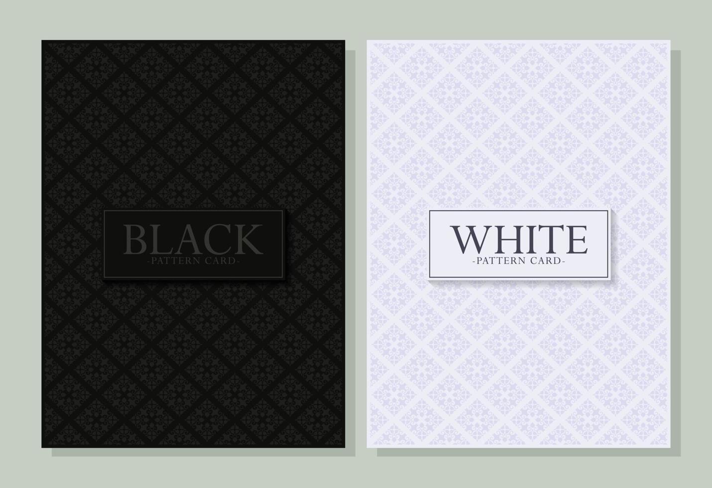 Luxury black and white background with border pattern vector
