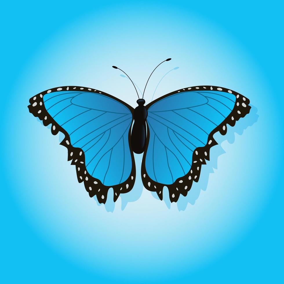 Bright butterfly on a colored background vector