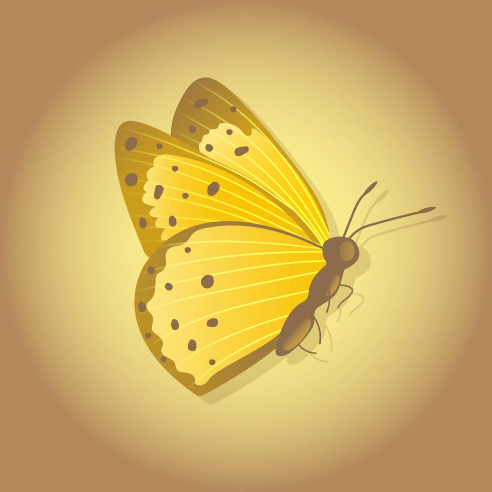 Bright butterfly on a colored background vector