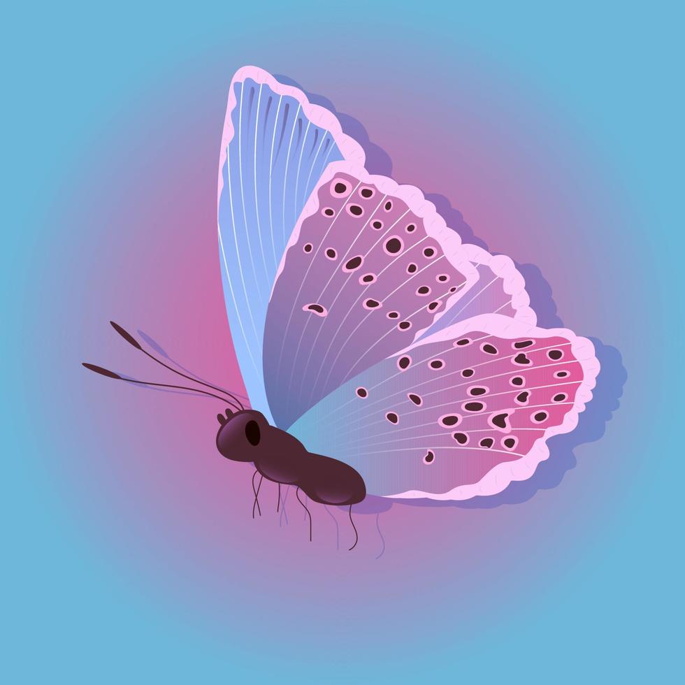 Bright butterfly on a colored background vector