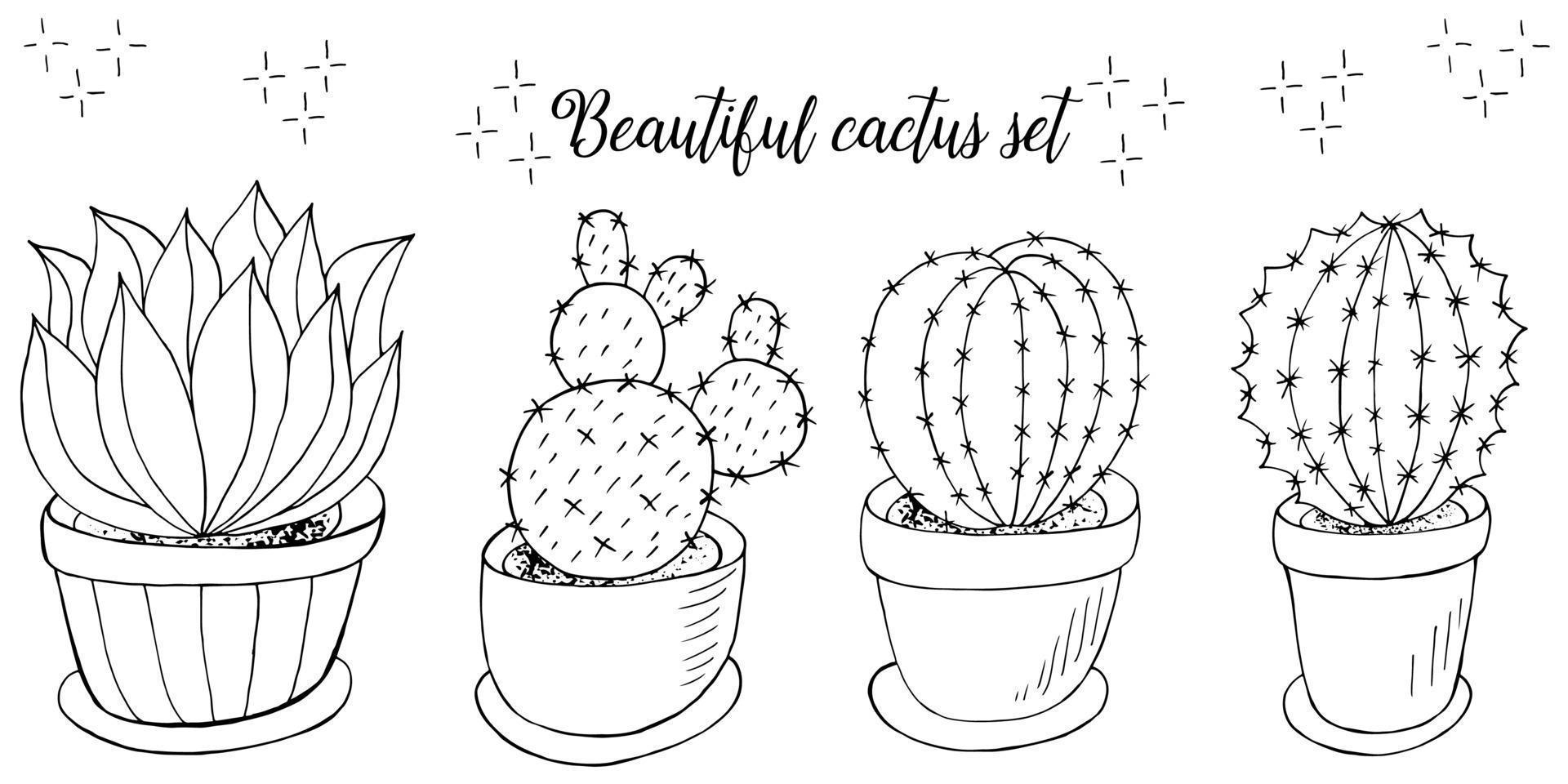 Coloring illustration. Cacti, aloe, succulents. Decorative natural elements vector