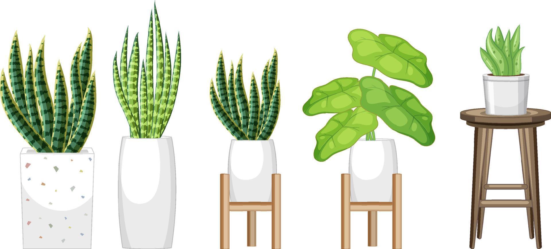 Conjunto de diferentes plantas en macetas para diseño de interiores. vector