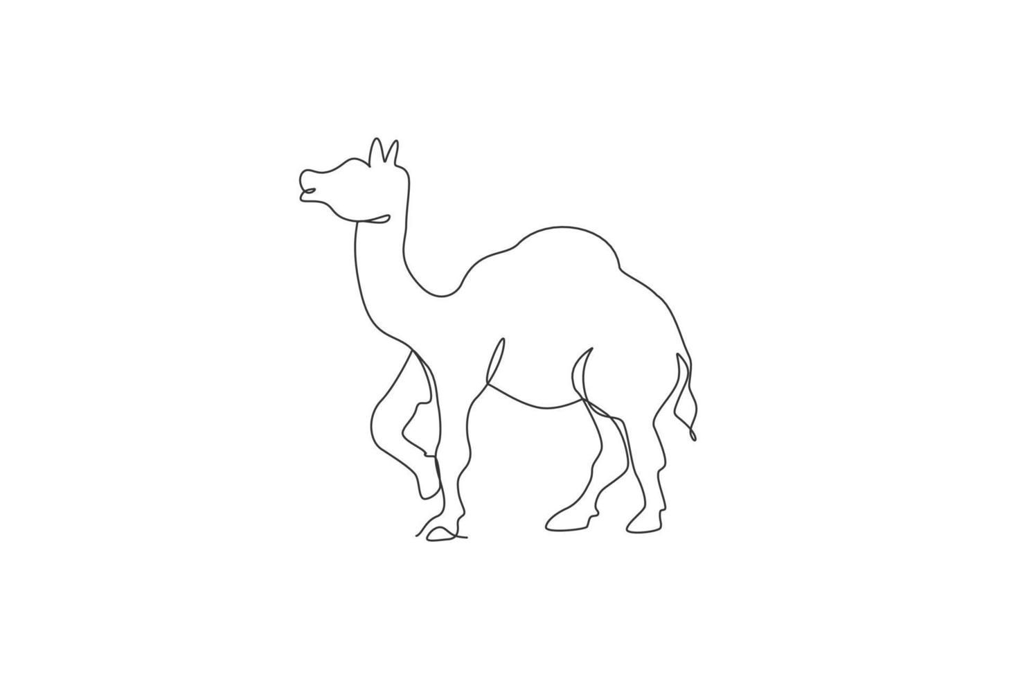 Single continuous line drawing of wild Arabian camel. Endangered ...