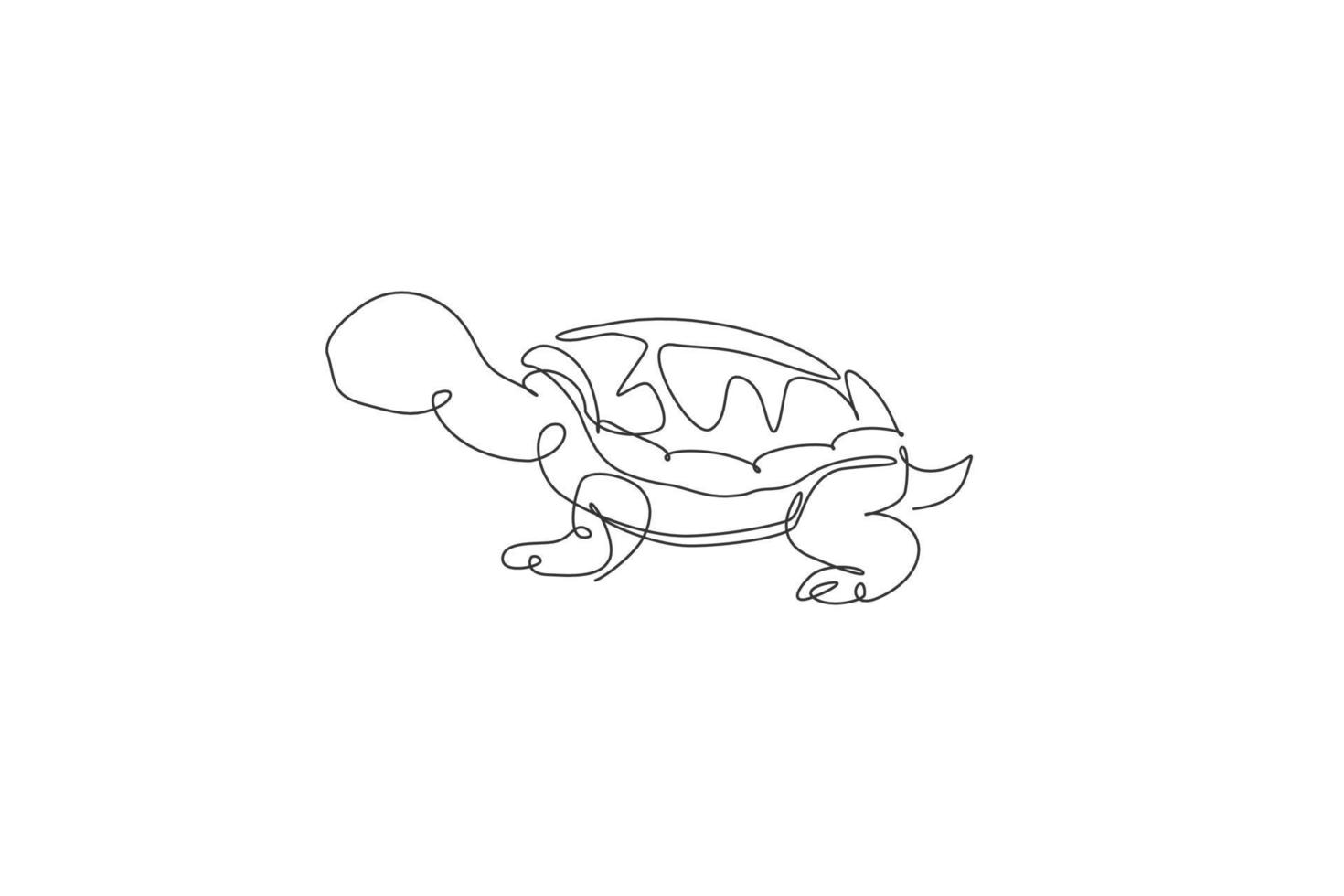 One single line drawing of big cute tortoise in Galapagos island vector illustration. Protected species national park conservation. Safari zoo concept. Modern continuous line graphic draw design