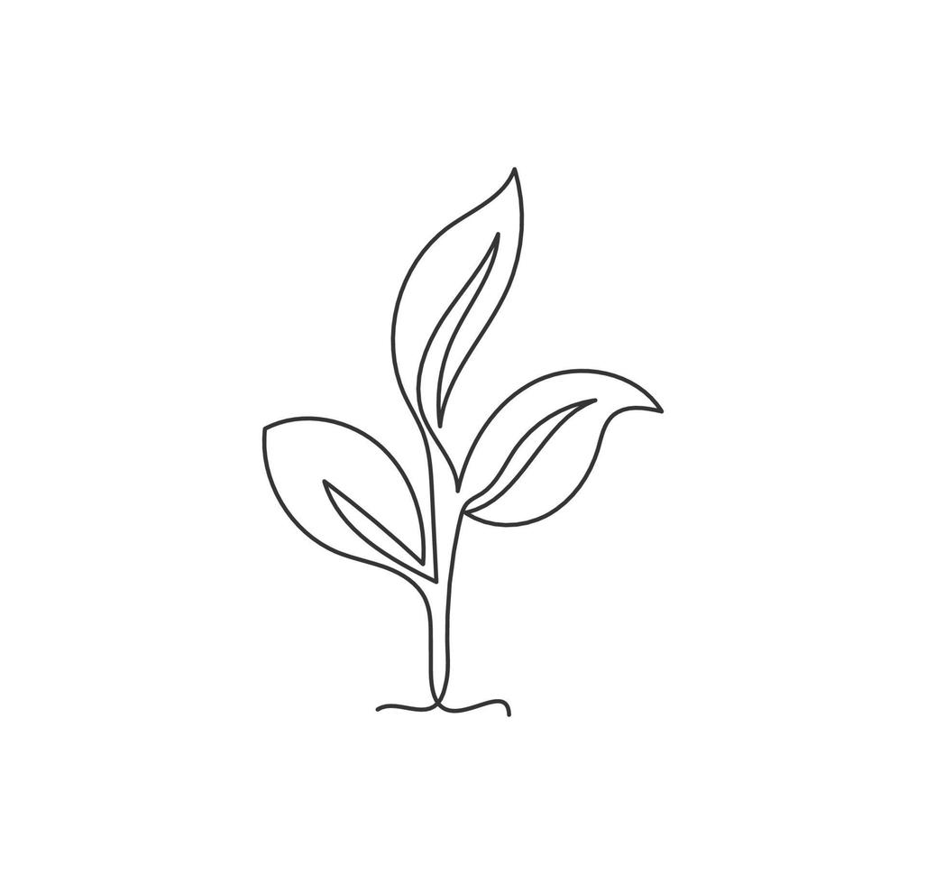 un dibujo de una sola línea de una plantación orgánica verde natural para la identidad del logotipo agrícola. concepto de icono de ecología de yemas de plantas de forma de hoja de crecimiento. Ilustración de vector de diseño de dibujo de línea continua de moda