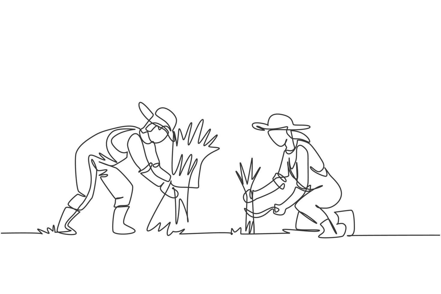 El dibujo de una sola línea de una pareja de agricultores estaba cosechando arroz y también había arroz amarrado. concepto mínimo de desafío agrícola. Ilustración de vector gráfico de diseño de dibujo de línea continua.