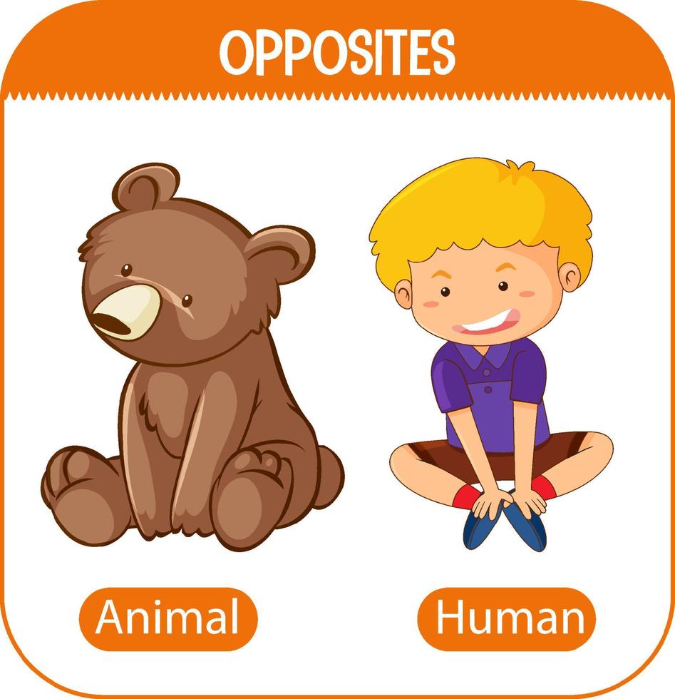 Palabras opuestas con animal y humano. vector