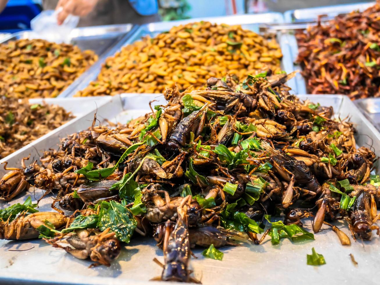 Fried insects in the night market street food of Thailand photo