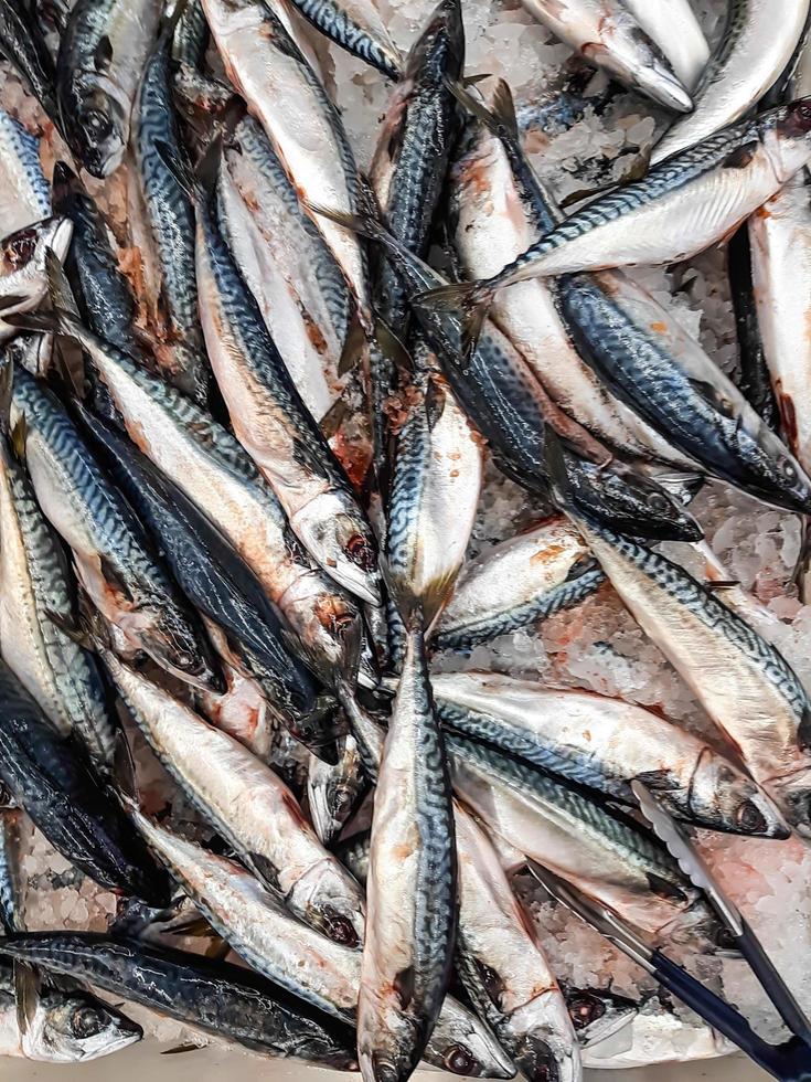 Fresh fish background on Ice in Seafood Market Stall photo