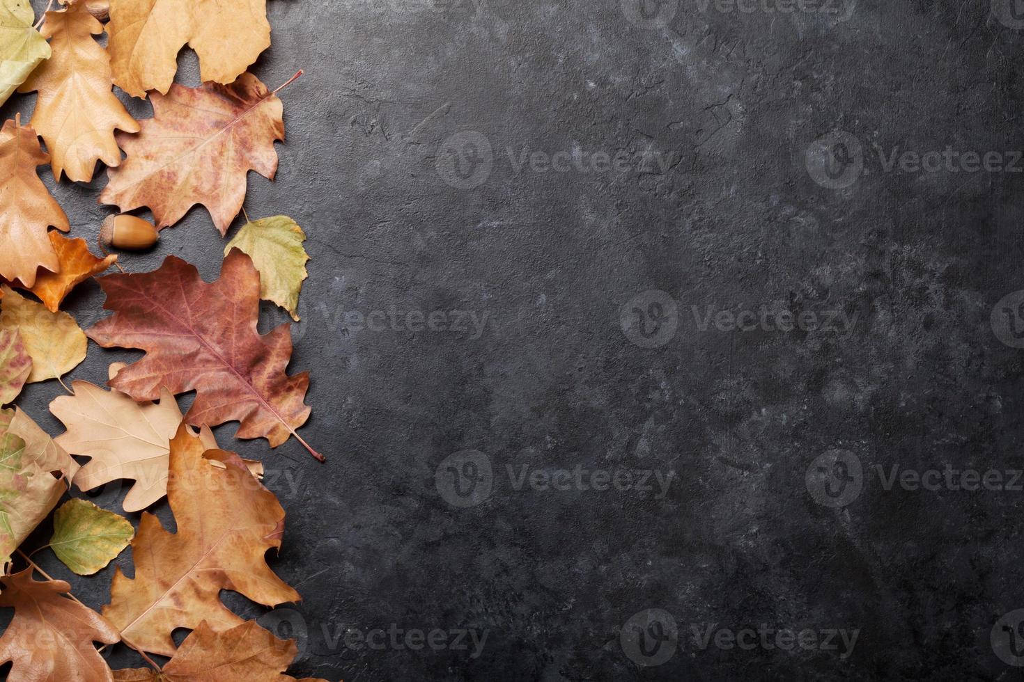 Autumn background winter photo