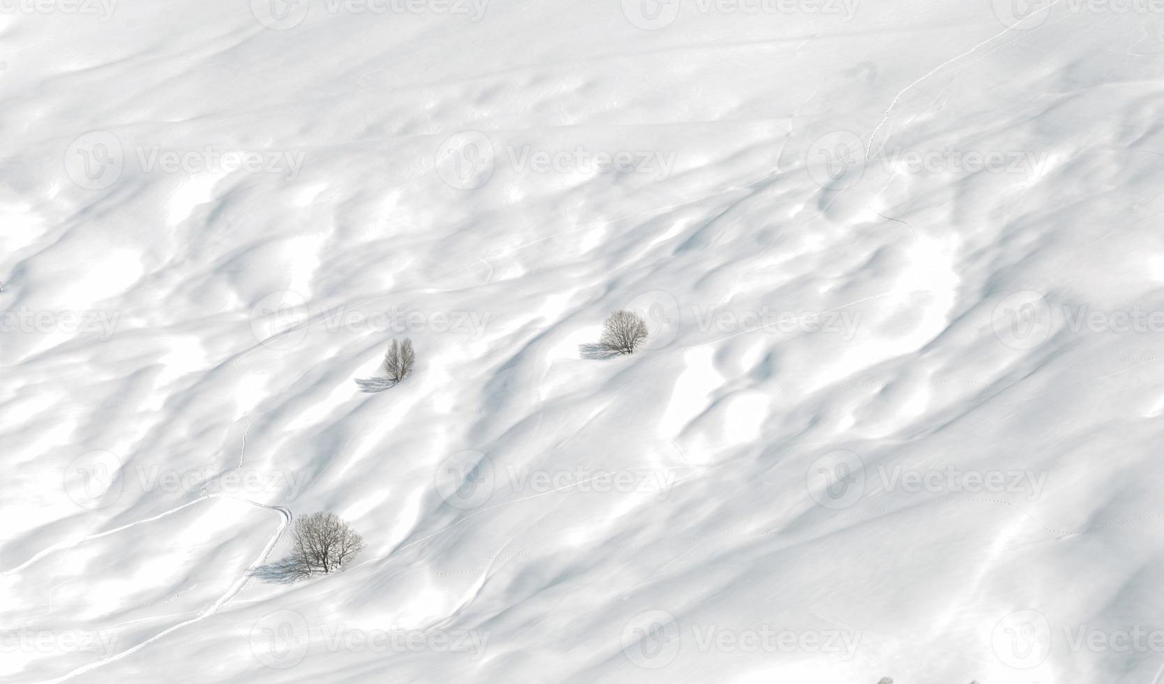 montañas con caminos de esquí de nieve y árboles. foto