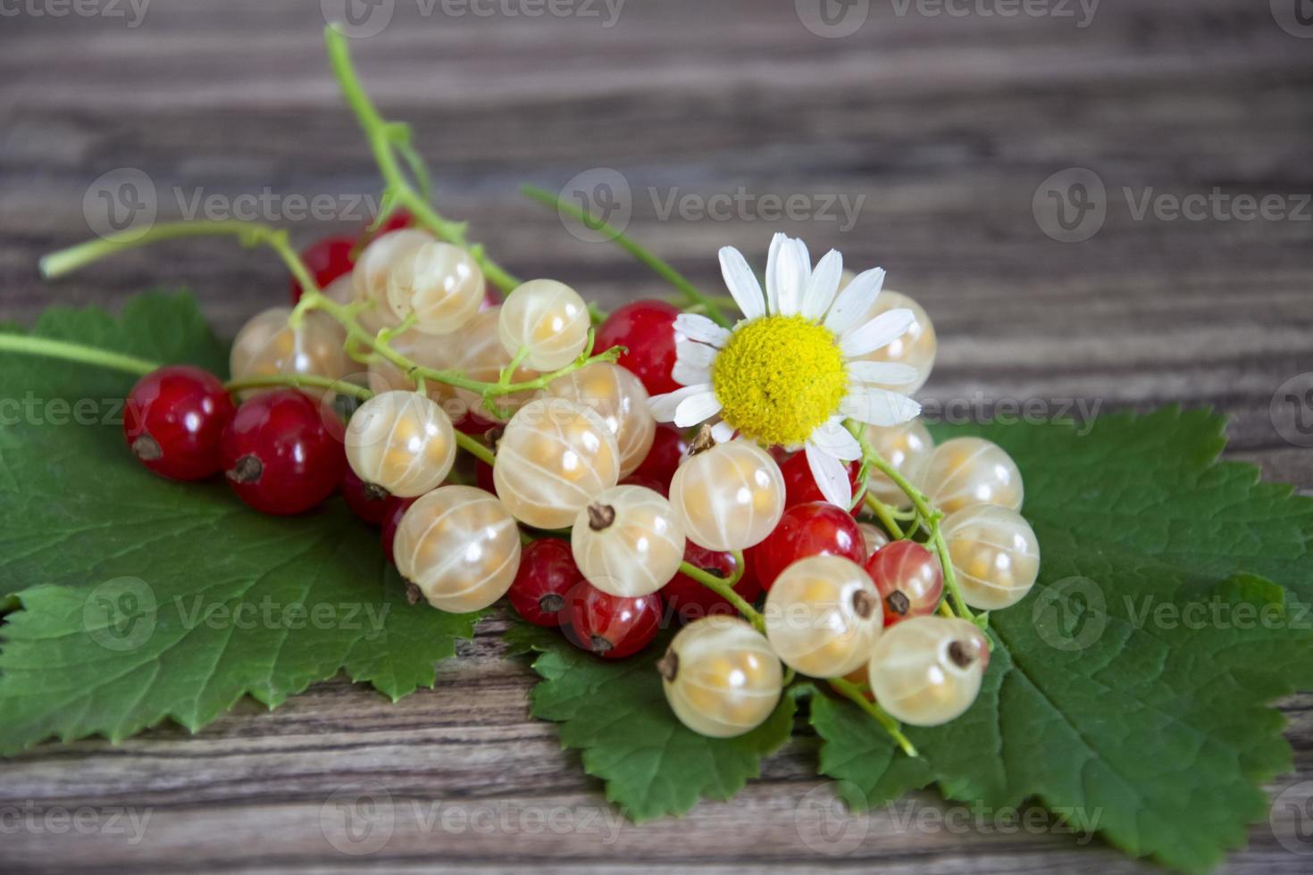 Currant berries close-up. Red and white currants with chamomile flowers on a wooden background. photo