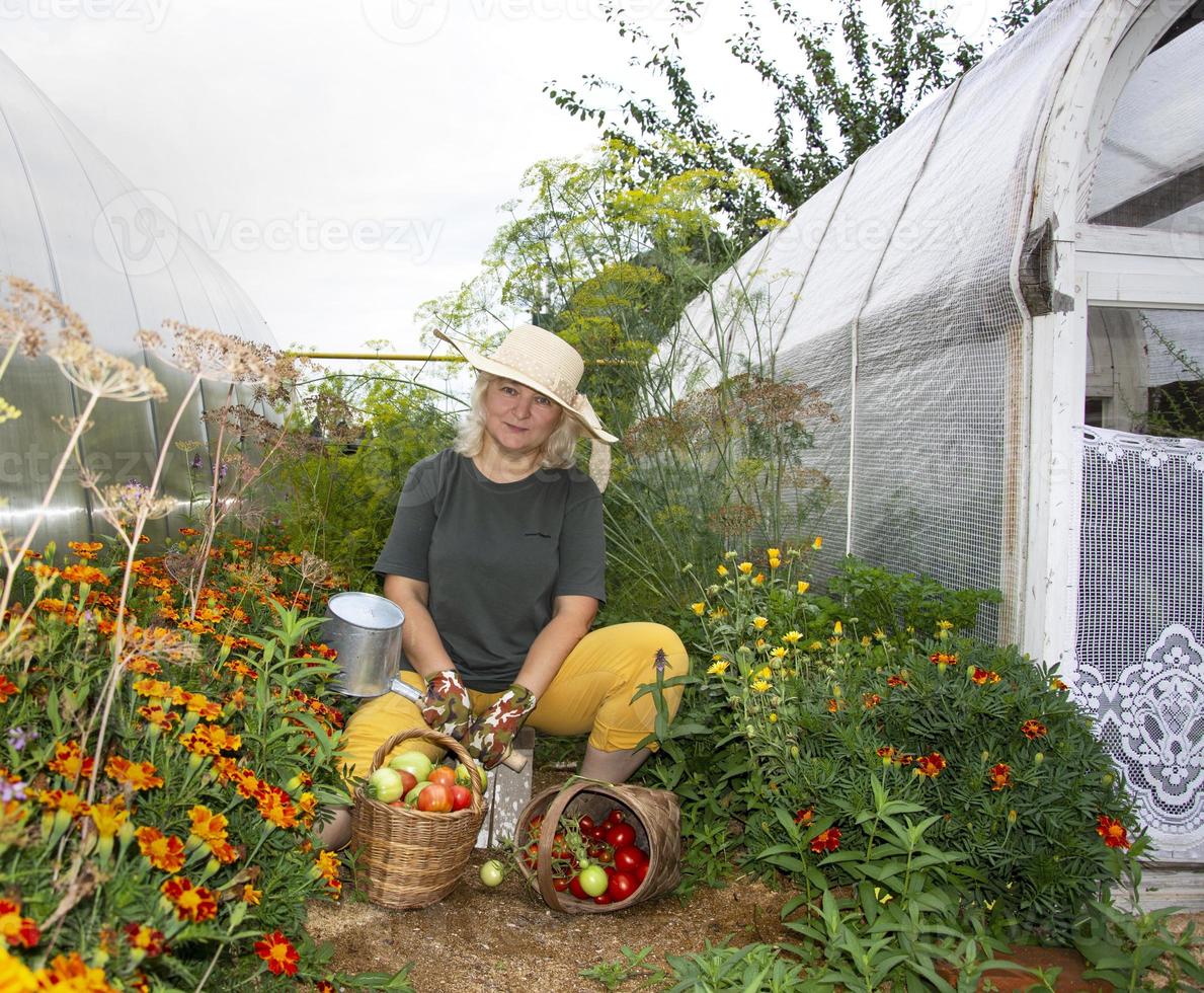 A woman farmer is resting near the greenhouse. Harvesting tomatoes, peppers and cucumbers. Autumn in the country. photo