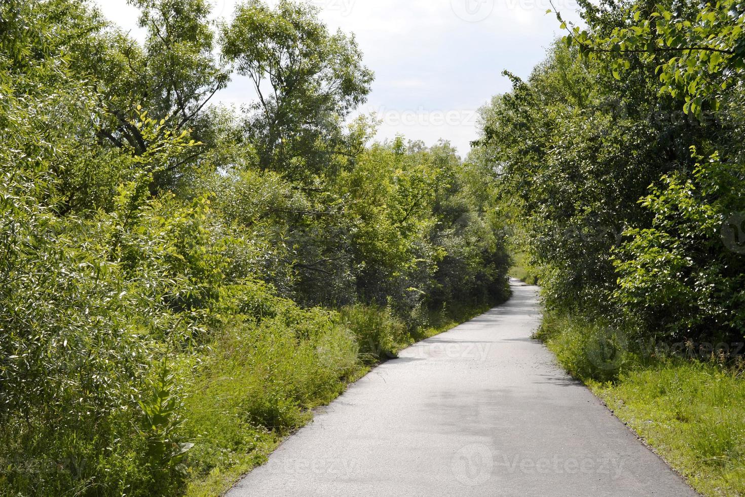 Beautiful empty asphalt road in countryside on colored background photo