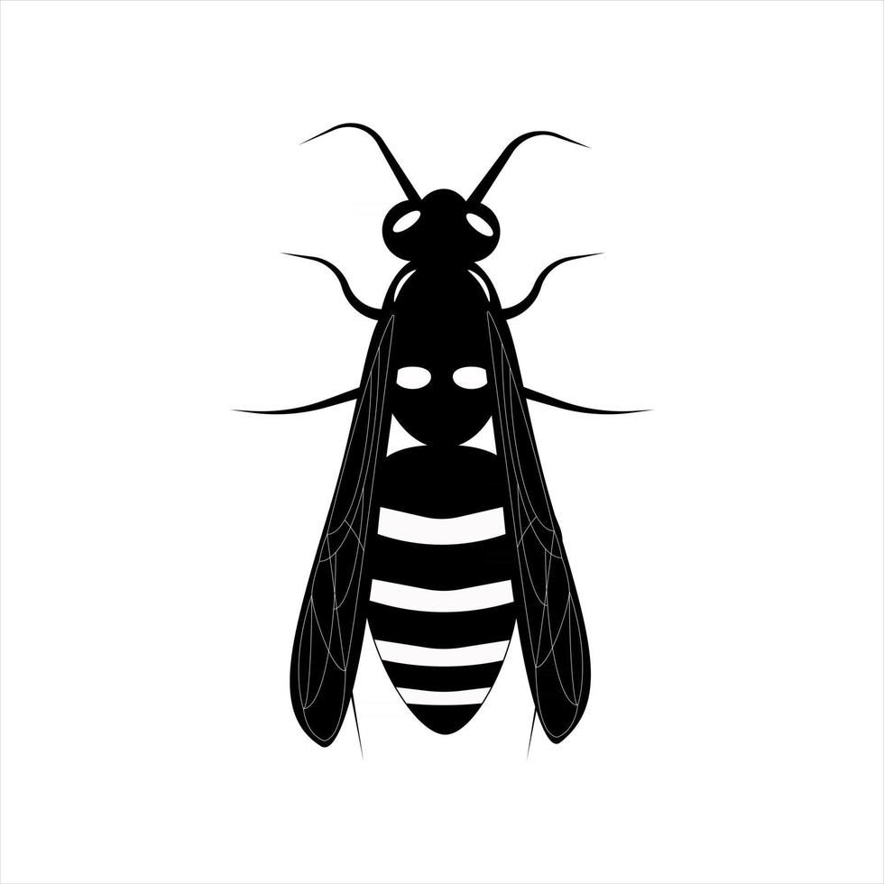 Flying wasp. Honey bee. Botany illustration. Insect animal, exotic. Vector isolated on white backdrop.