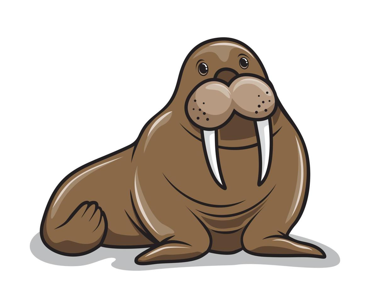 Walrus Cartoon Illustrations vector