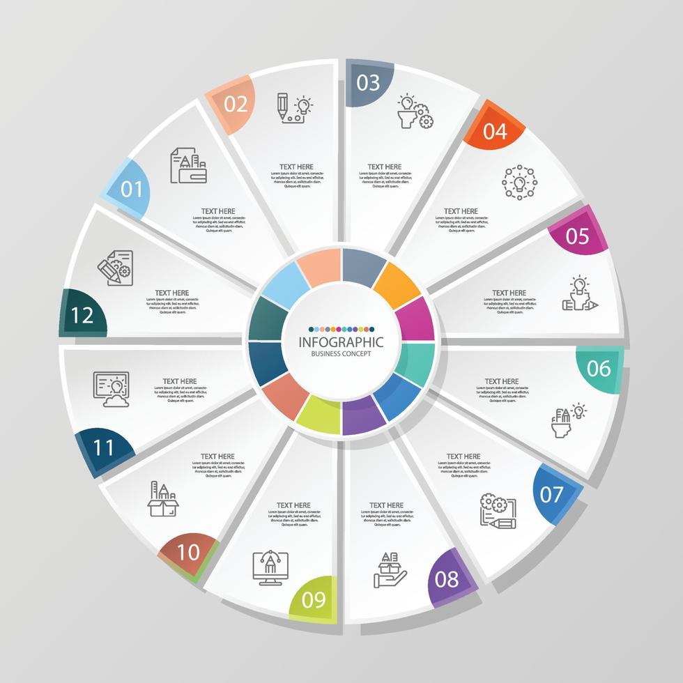 Basic circle infographic template with 12 steps. vector