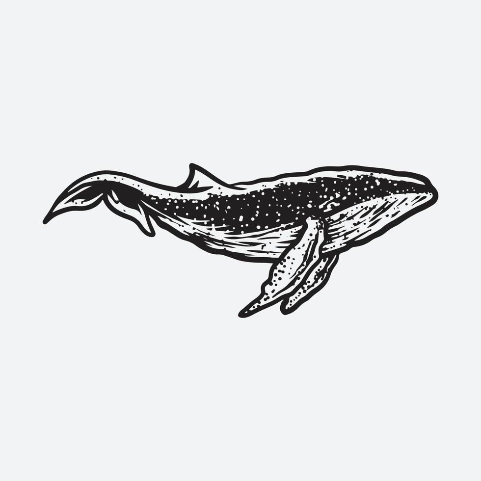 ilustración de ballena negra vector