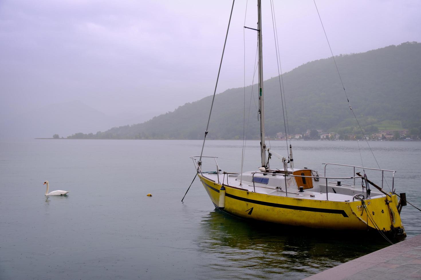 Rainy day at the lake photo