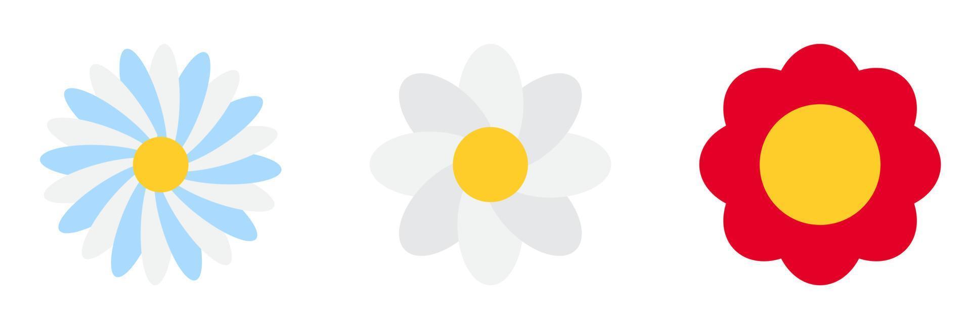 Set of simple flower of blossoming and blooming chamomile. Vector Illustration