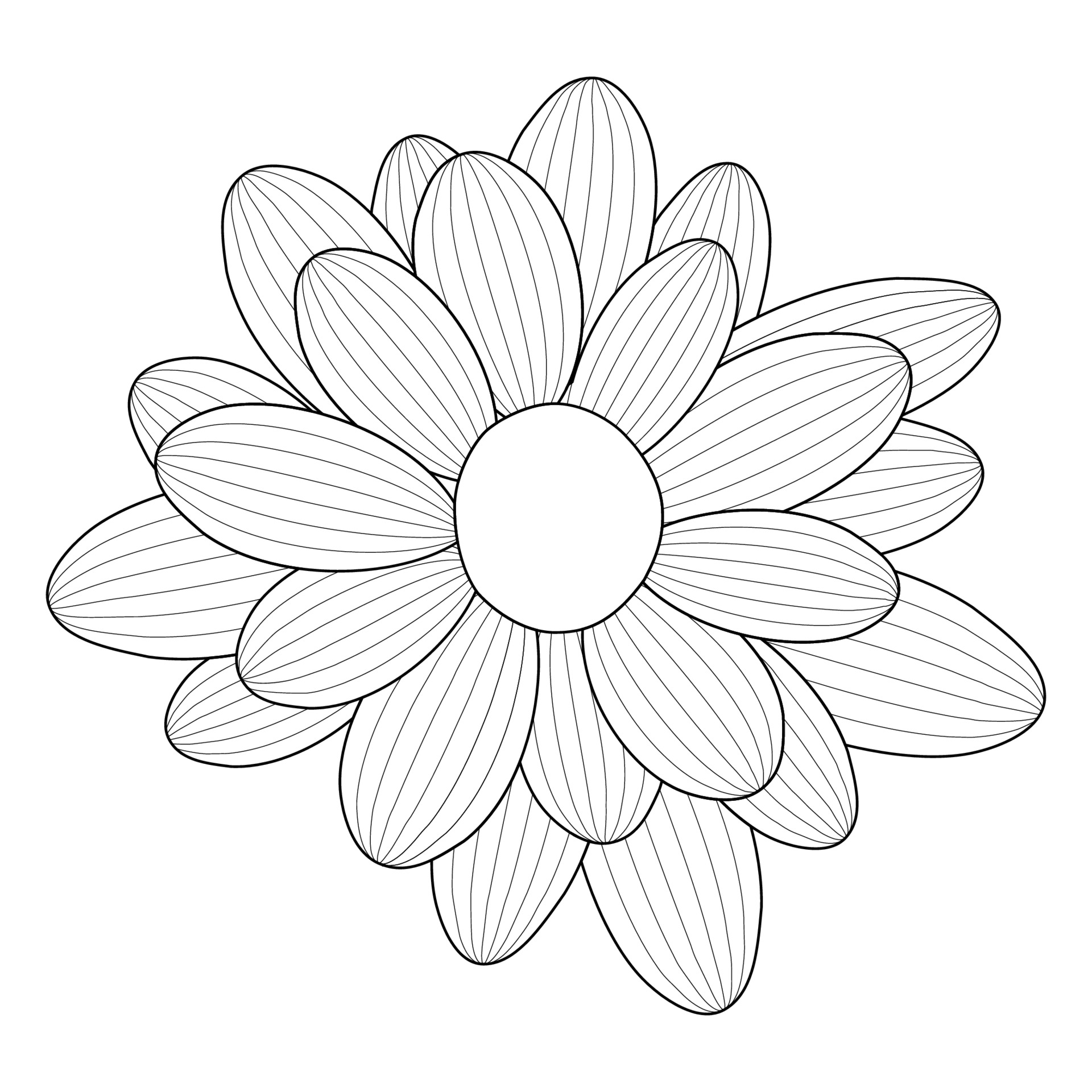 Photos Of Flowers Without Color Best Flower Site