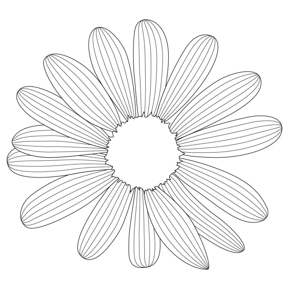 simple flower chamomile drawn by lines. Vector Illustration