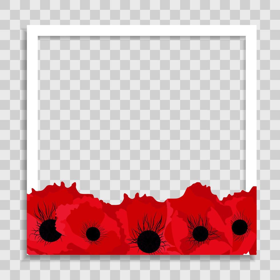 Empty Photo Frame Template with Spring poppy Flowers for Media Post  in Social Network. Vector Illustration
