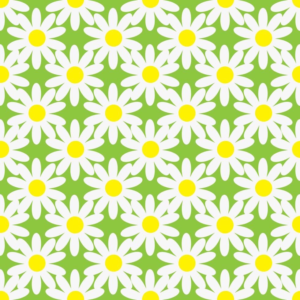 Blooming chamomile on green background, seamless pattern. Vector Illustration