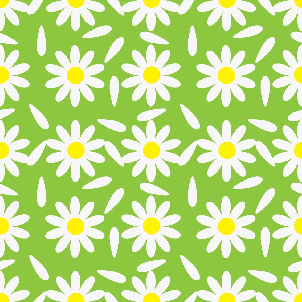 Blooming chamomile with petals on green background, seamless pattern. Vector Illustration