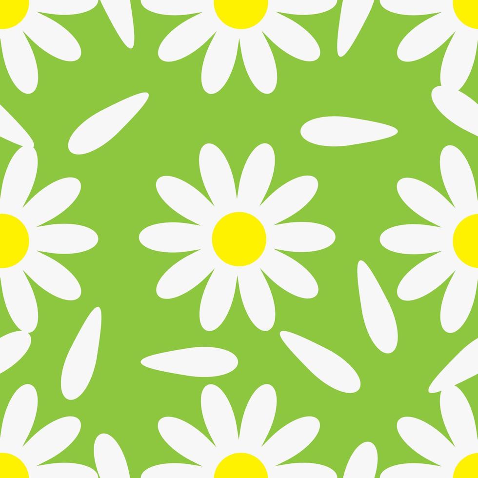 Blooming chamomile with petals on green background, seamless pattern. Vector Illustration
