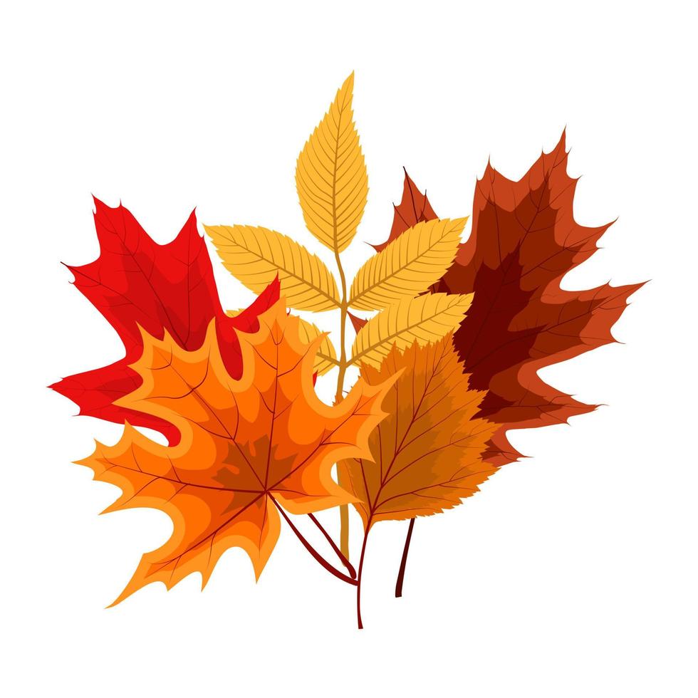 Autumn Falling Leaves Icon Isolated on White Background. Vector Illustration