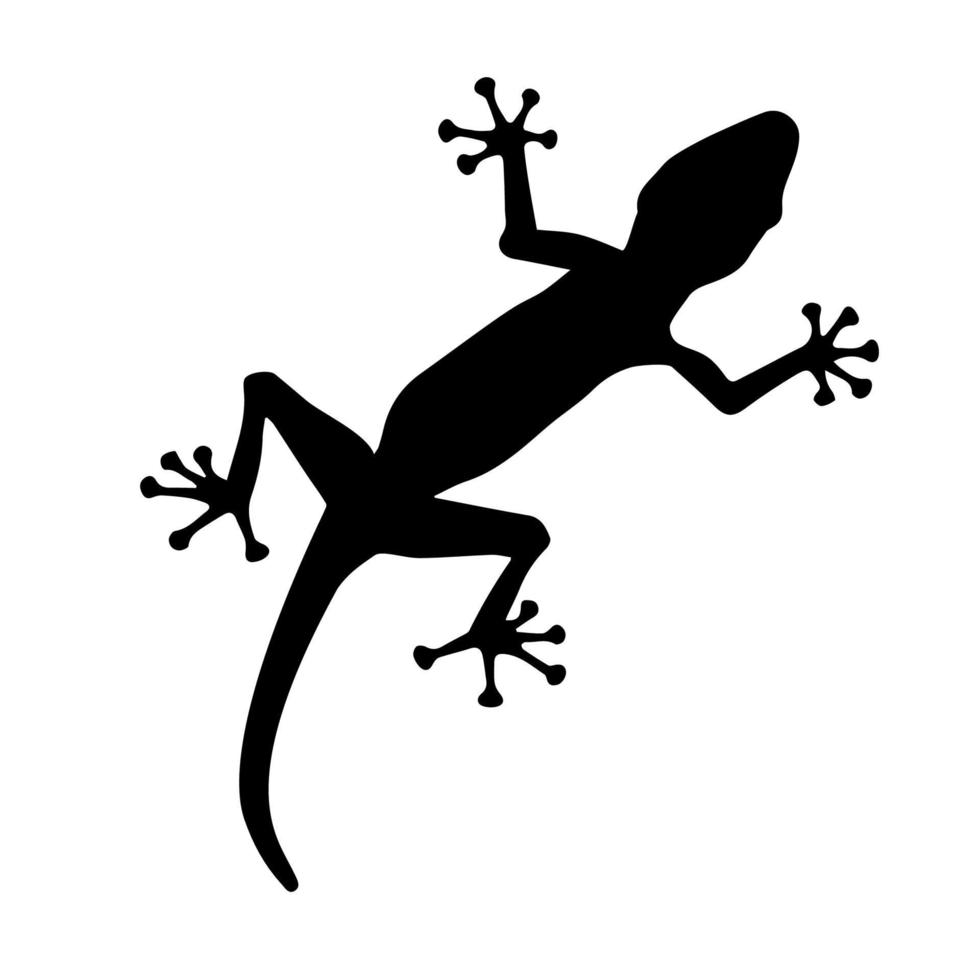 Black silhouette creeping up of lizard on white background. Vector Illustration