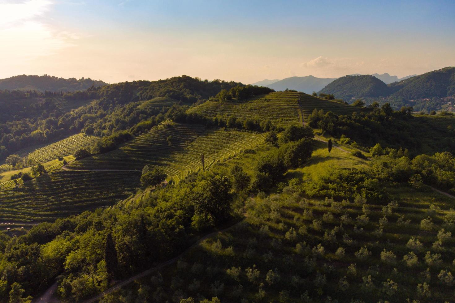 panorama aéreo de montevecchia hermosas terrazas foto