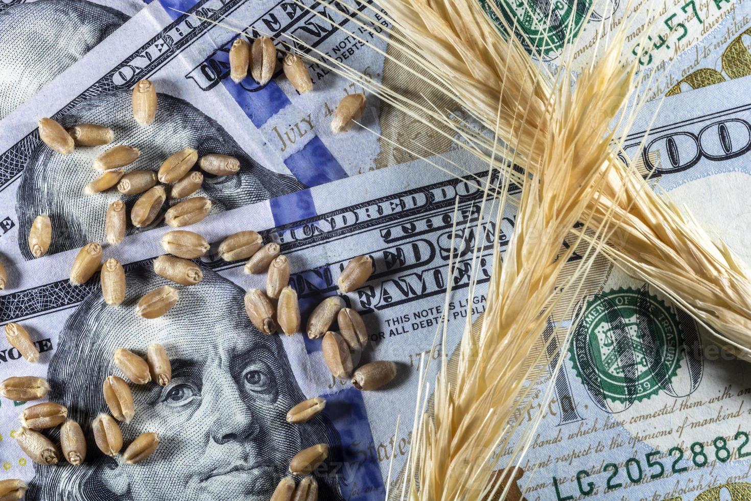 US dollars and ripe ears and seeds of yellow wheat in Brazil photo