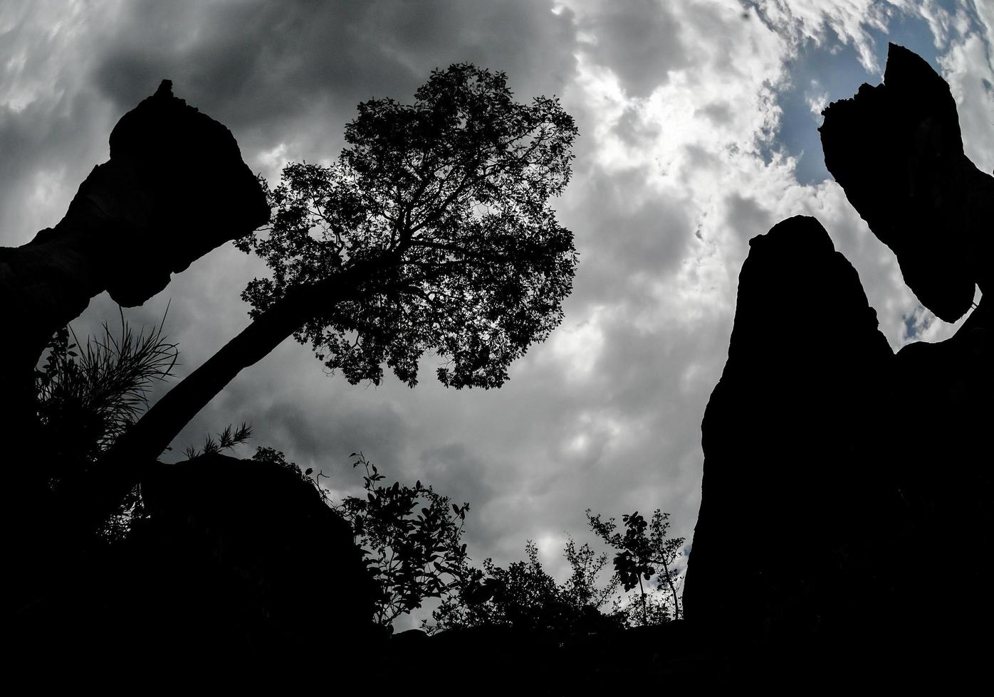 Cup shaped stone. The Pa Hin Ngam National Park in Chaiyaphum, Thailand photo