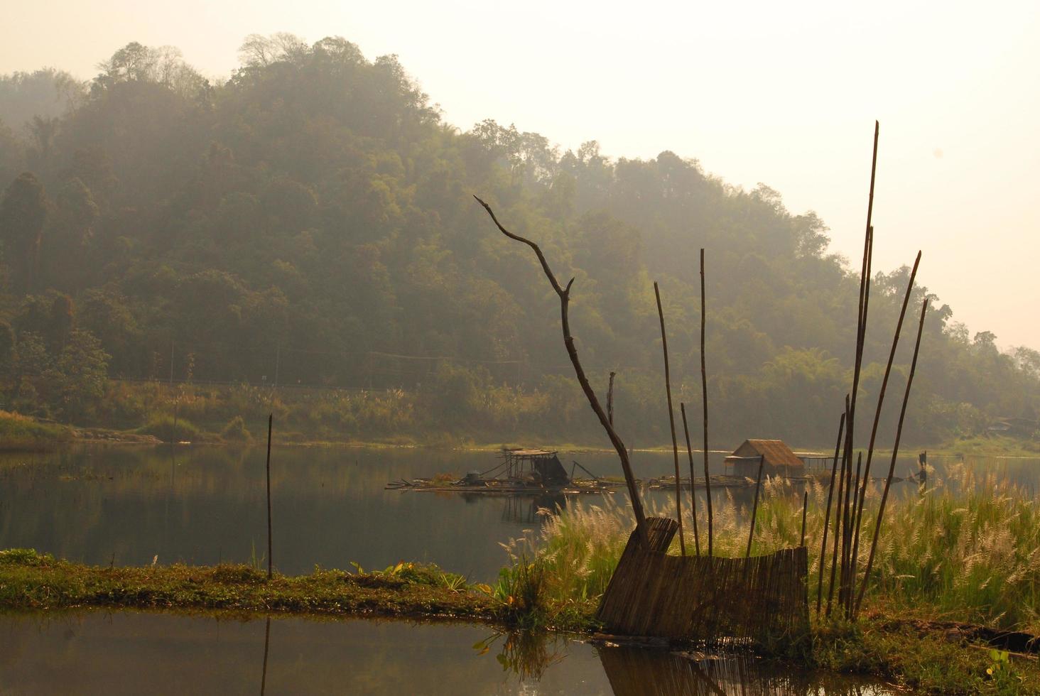 hermosa naturaleza del lago de agua bosque foto