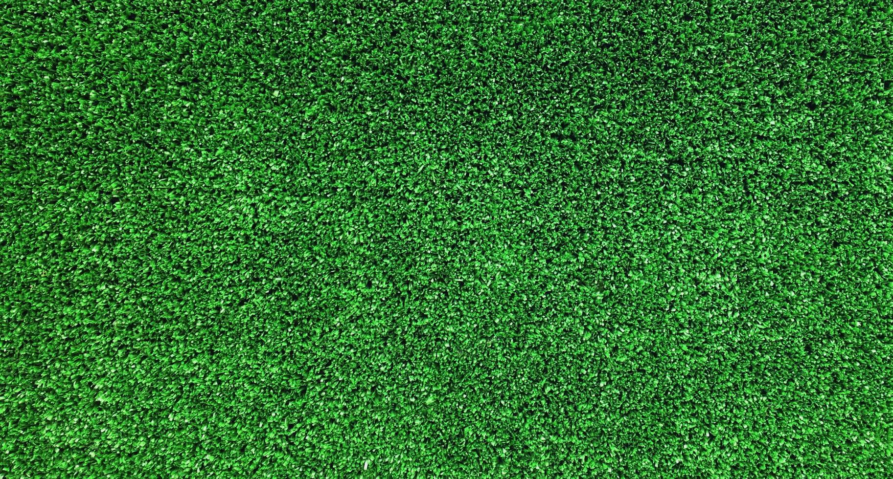 campo de hierba verde foto