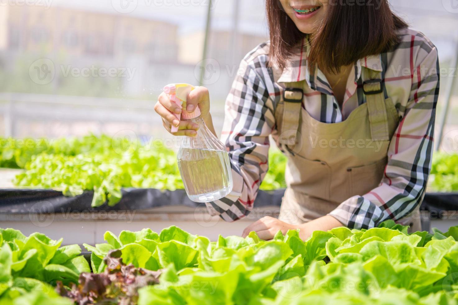 Primer plano de una botella de spray de agua con niebla en la mano de la agricultora rociando para brotar vegetales hidropónicos en el fondo del vivero de invernadero. agricultura empresarial y concepto de agricultura de cultivo. alimentos orgánicos foto