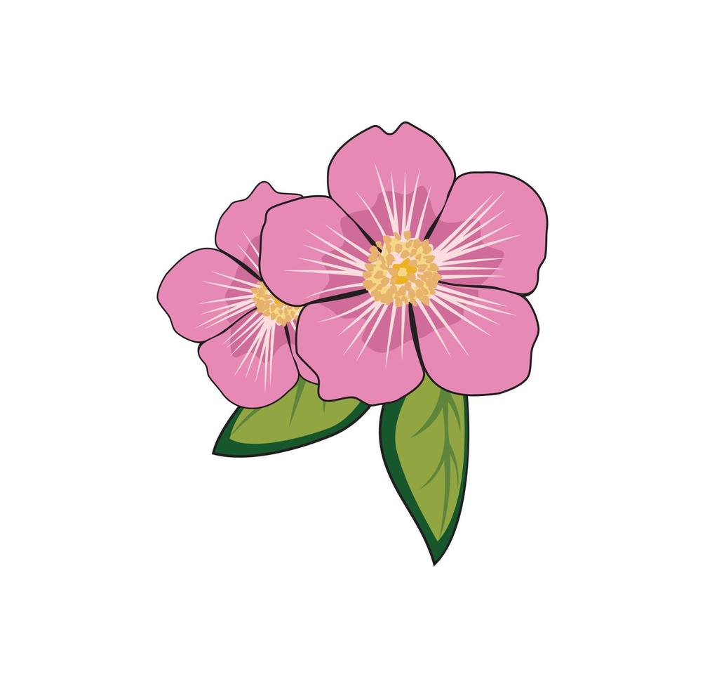 ilustración de diseño de rosa de alberta vector