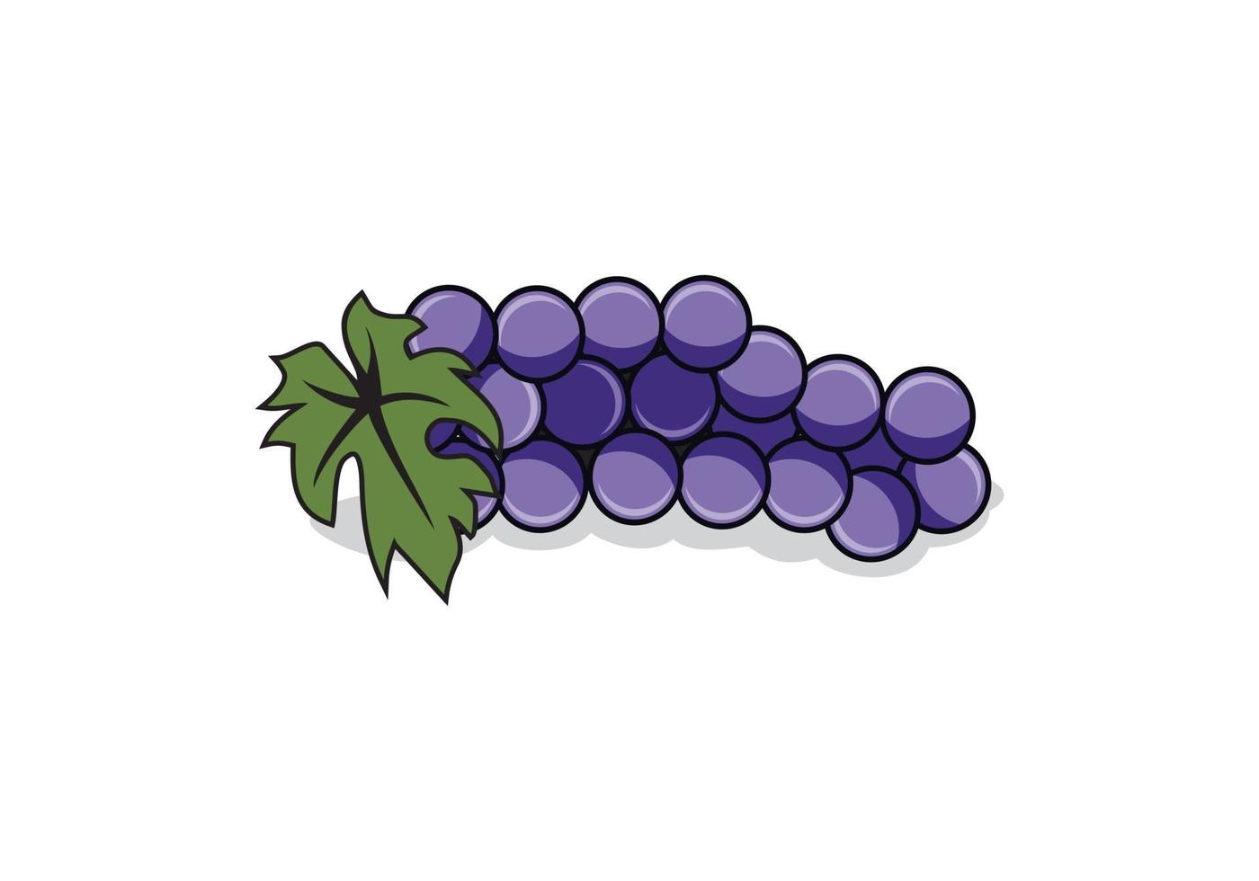 ilustración de diseño de uva vector