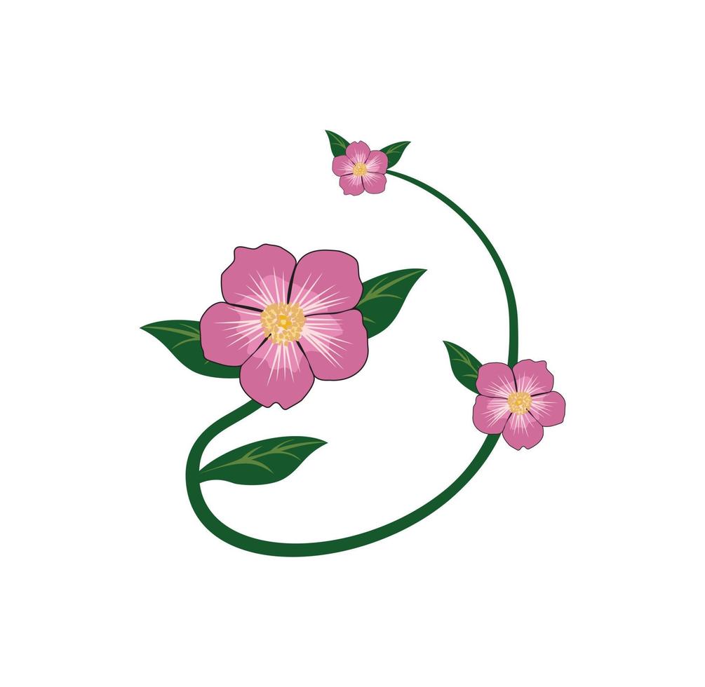 Alberta rose design illustration vector